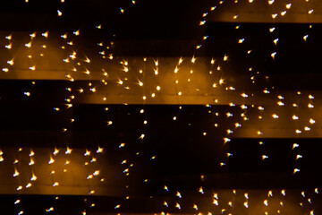 Lichterkette leuchtende Lampen bei Nacht weihnachtlich - 511090106