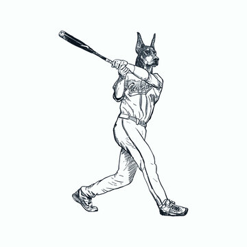 Vintage hand drawn sketch anthropomorphic baseball doberman