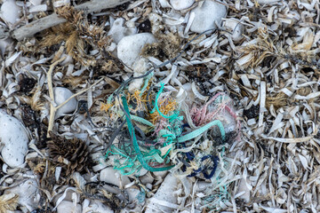 Plastic bottles and waste washed up on a beach by the incoming tide, covering the entire beach 