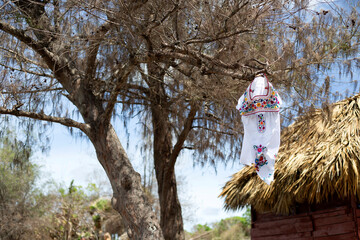 南国の海辺でリラックス