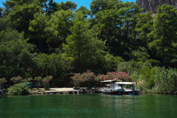 Pleasure ships under Turkish flags at the berths on the Dalyan River, Turkey against the background of trees and flowering bushes on a sunny summer day