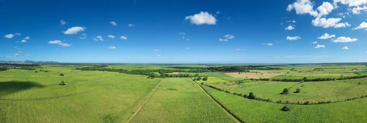 Sugar cane fields plantation at caribbean countryside, agriculture concept. Aerial view - obrazy, fototapety, plakaty