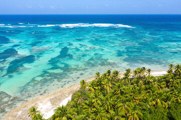 Bounty and pristine tropical shore with coconut palm trees and turquoise caribbean sea. Beautiful landscape. Aerial view