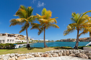 Cap Cana marina in Dominican Republic