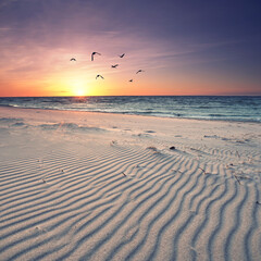 Insel im Meer