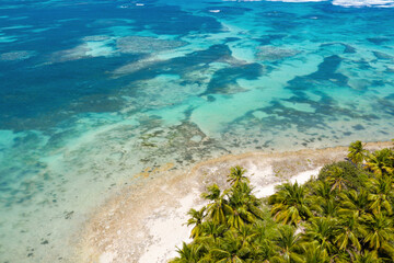 Fototapeta na wymiar Bounty and pristine tropical shore with coconut palm trees and turquoise caribbean sea. Beautiful landscape. Aerial view