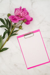 Tablet for notes on a concrete background with peony. Vertical frame.