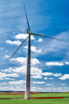 Field with windmills that generate electricity in the sunlight.