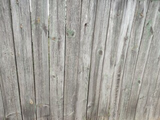 Gray old wood texture