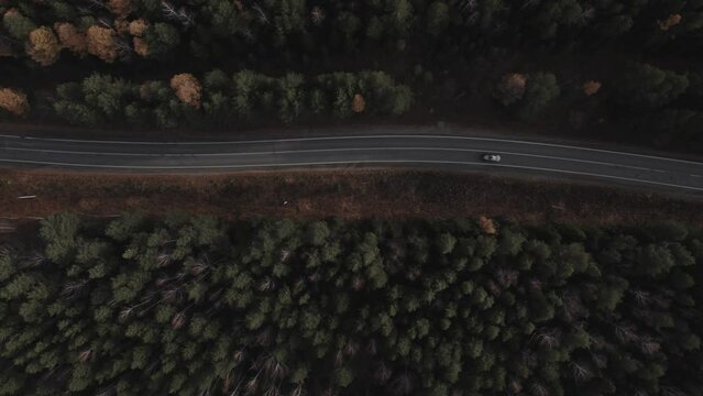Closeup road with traffic cats between autumn forest in Ural, Russia. Beautiful autumn nature landscape at during daytime. Aerial view from a drone