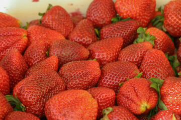 Erdbeeren