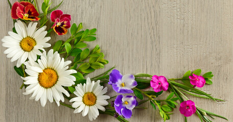 Pattern of daisies, phlox and violets on a beautiful gray background. Wide photo.