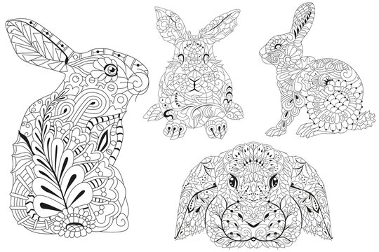 Set of images of rabbits for coloring