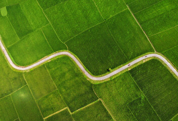 A zigzagging road meandering through lush green paddy fields, creating a stunning tapestry of...
