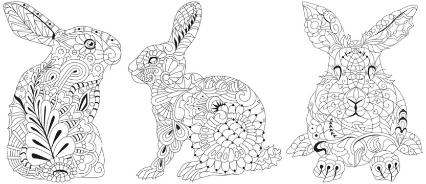 Set of images of rabbits for coloring
