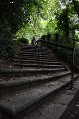 Stairs In Kilkenny Castle Park.