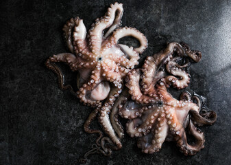 Octopus. Creative concept of healthy food with photos of delicious seafood from octopus.