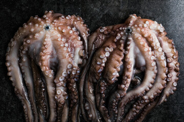 Octopus. Creative concept of healthy food with photos of delicious seafood from octopus.