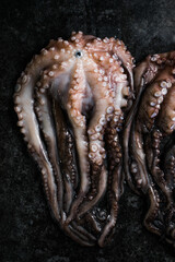 Octopus. Creative concept of healthy food with photos of delicious seafood from octopus.