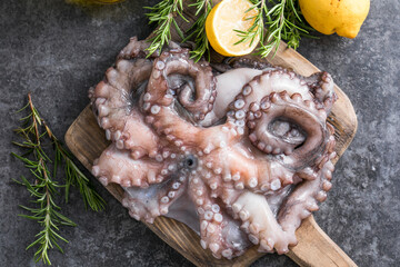 Octopus. Creative concept of healthy food with photos of delicious seafood from octopus.