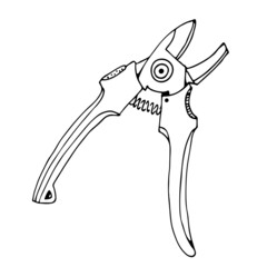 Secateurs, garden tool, hand drawn vector illustration, isolated on a white background