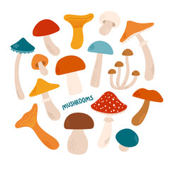Mushrooms set flat design and vector illustration
