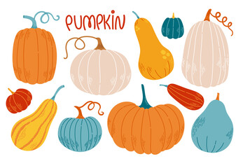 Pumpkin set flat design and vector illustration