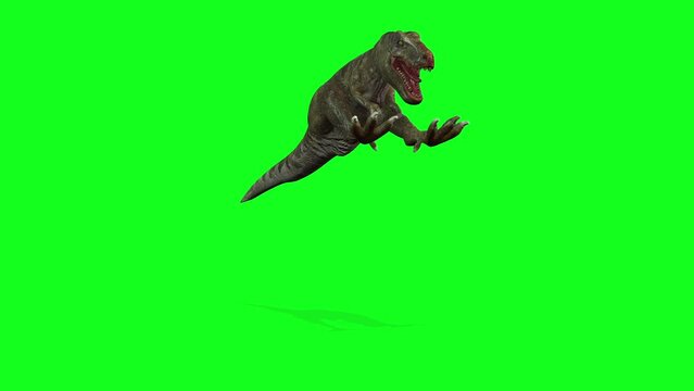 animation -Dinosaurs Walking On Green Screen Background.