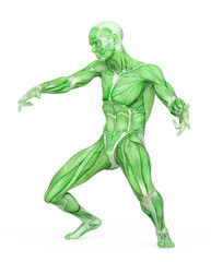 average man muscle maps is doing a hiphop dance