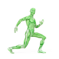 average man muscle maps is doing a robot dance pose