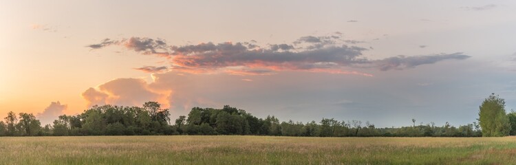 Fototapeta na wymiar Large pink cloud at sunset over meadow in spring.