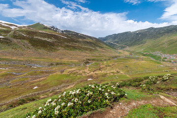 Fototapeta na wymiar Avusor Plateau view in Rize Province of Turkey