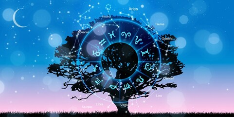 Zodiac signs inside of horoscope circle. Astrology in the sky with stars