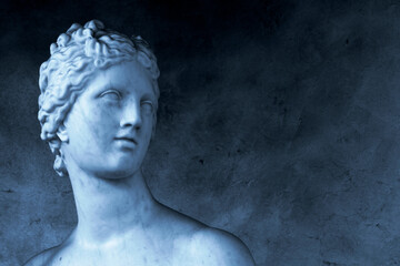 Statue of Venus de Medici 'Goddess of Love' Reproduction version, Head and Shoulder Detail...