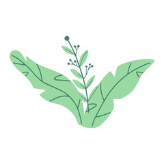 Organic shape of green plant, tree. Modern trendy icon of plant, foliage. Flat natural vector illustration with floral for advertisement, promotion