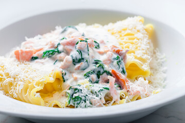 pasta with creamy salmon sauce with spinach