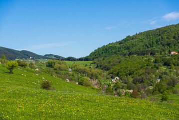 Awesome landscape with forest and mountains, Vanadzor