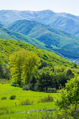 Scenic landscape with trees and forest, Vanadzor