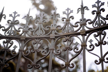 Forged iron fence
