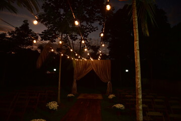 light tree at night