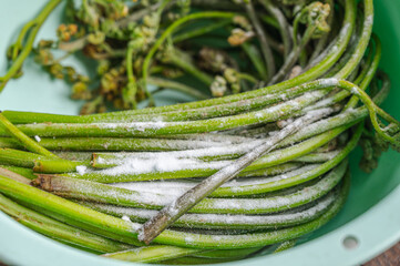 重曹でわらびの灰汁を抜く