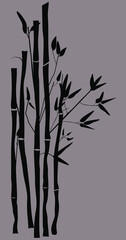 Bamboo stem and leaves isolated vector illustration. Exotic floral set design elements. Asian garden objects in flat style.bamboo shadow