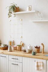 Kitchen interior front view © Kaplitskaya Love