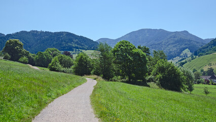 Fototapeta na wymiar Schwarzwald Münstertal