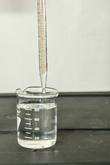 cheesemaker takes with the hand test tube with the curd for the production of cheese in the dairy