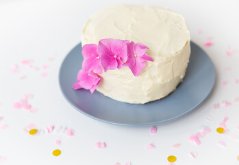 Very beautiful small white bento cake, decorated with fresh flowers of pink hydrangeas. Holiday and fun concept.