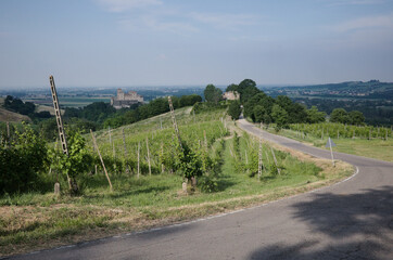 Asphalt road passing between vineyards up on hill in Parma province, Italy. Castle called Castello...