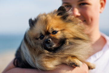 Teenage guy in T-shirt holds in arms dog of Pomeranian breed against the backdrop of a bright sunny blue sky