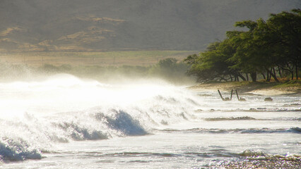 windy waves
