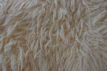 gray white texture fabric of wool and fur on the carpet